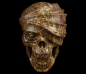 Preview: Zombie Skull Snake Jasper